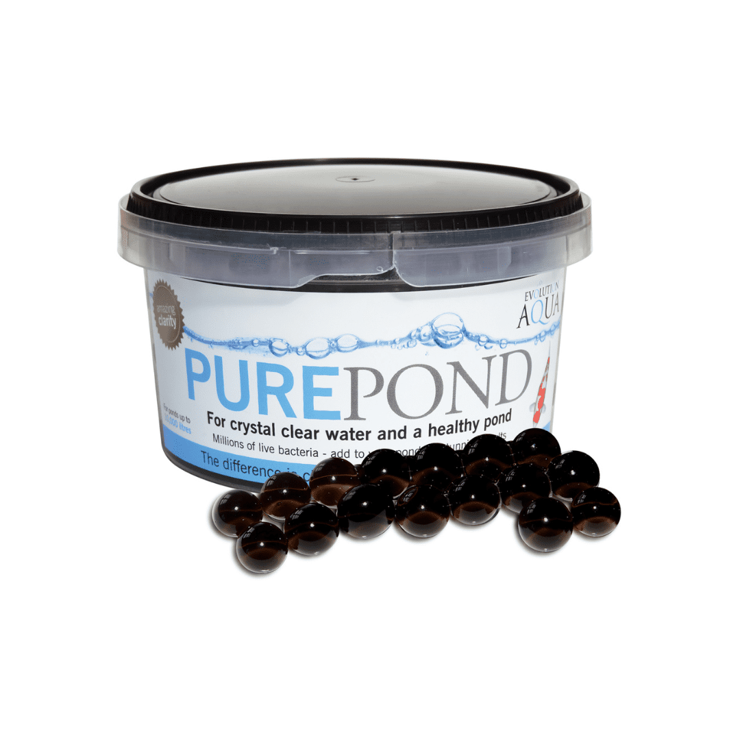 Untitled design (12)